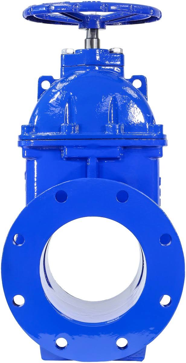 8x22 Cast Iron Gate Valve with Rubber Wedge J178702