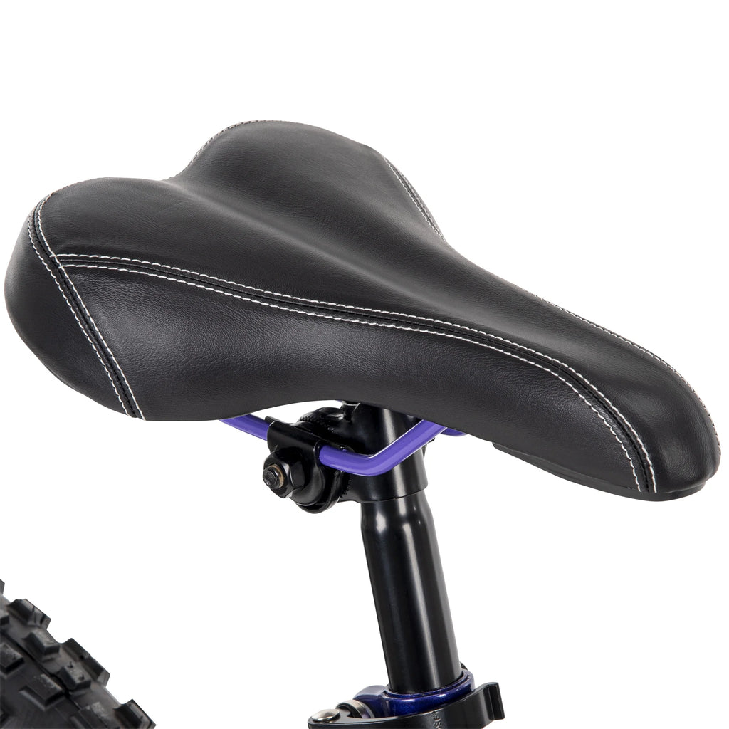 24-inch 18-speed Purple Mountain Bike F997