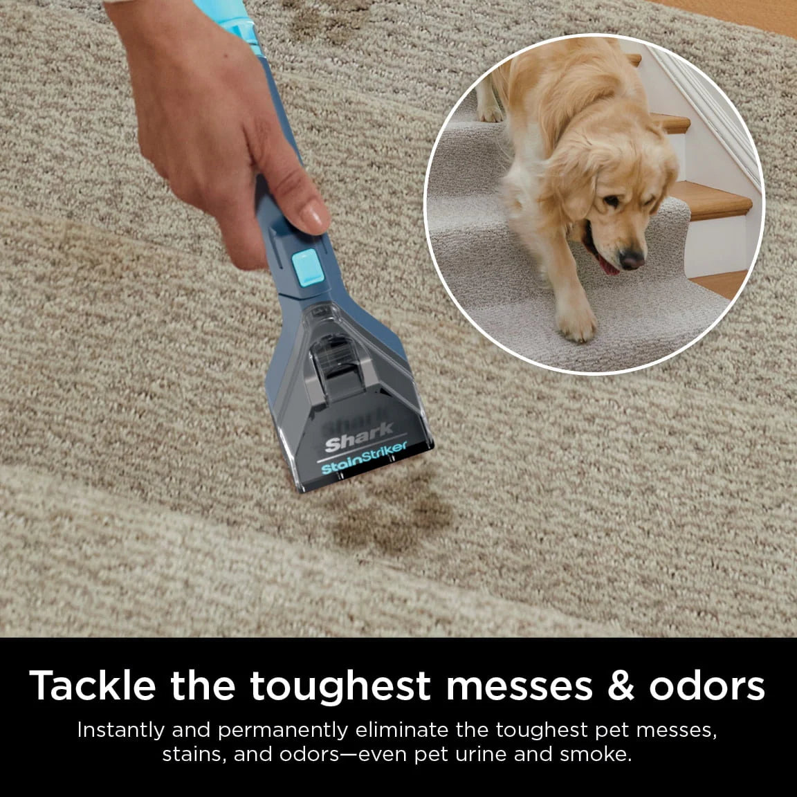 Portable Carpet & Upholstery Cleaner X5045