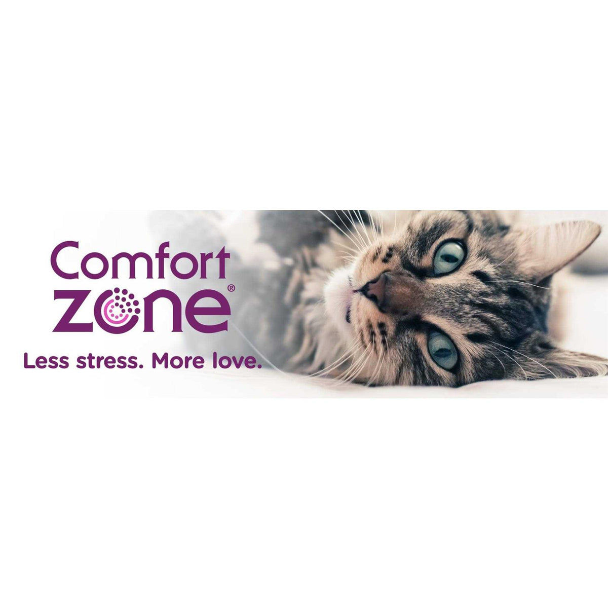 Cat Calming Collar Z166714