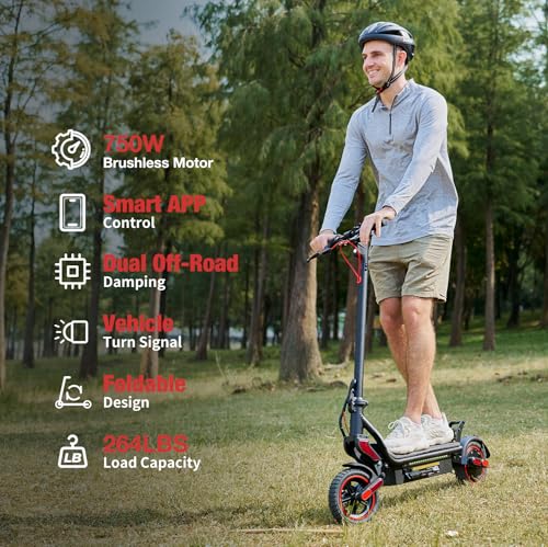 1000W Electric Scooter with 10" Off-Road Tires O24513