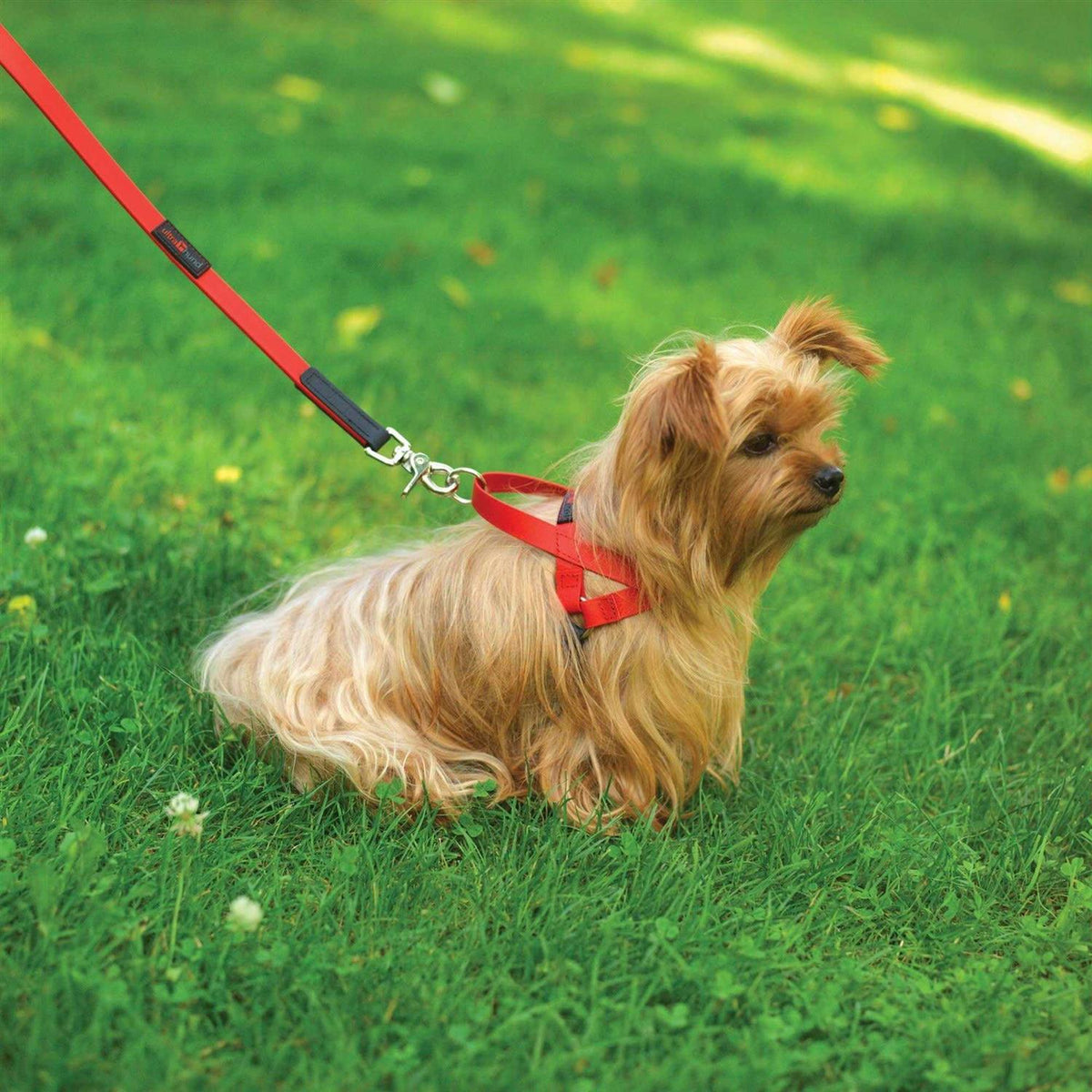 Pet Harness B35152