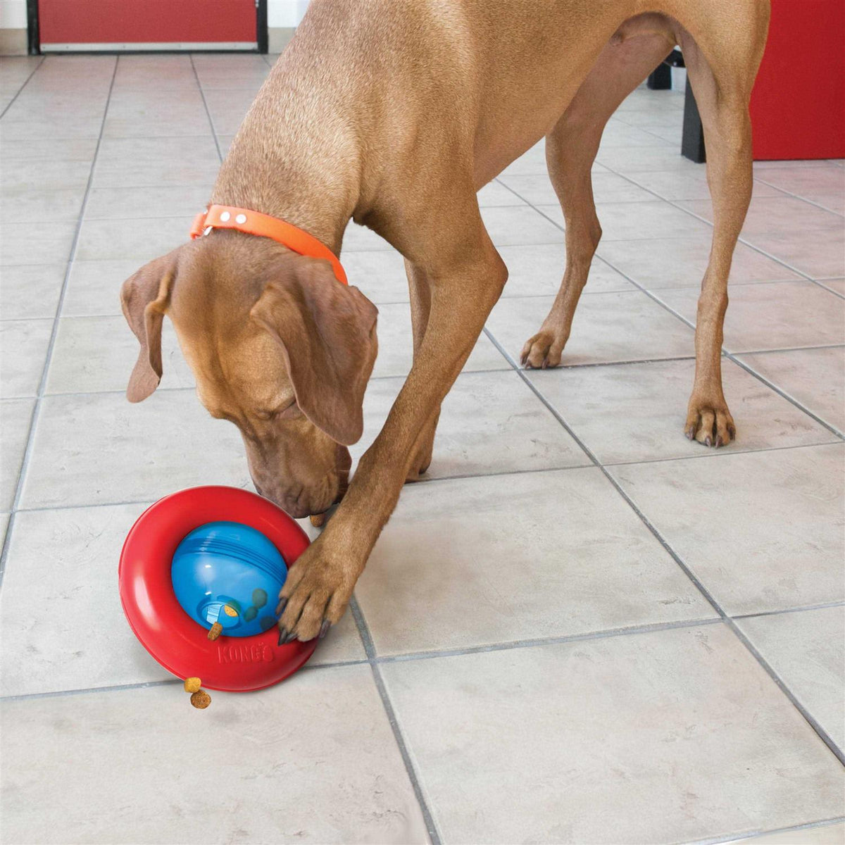 Dog Toy D386054