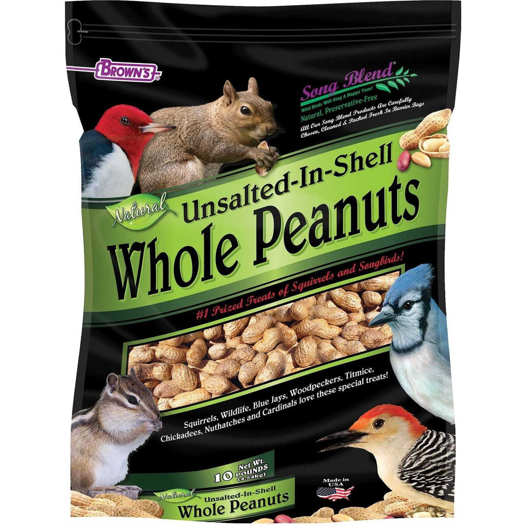 Unsalted In-Shell Whole Peanuts Bird Food O657