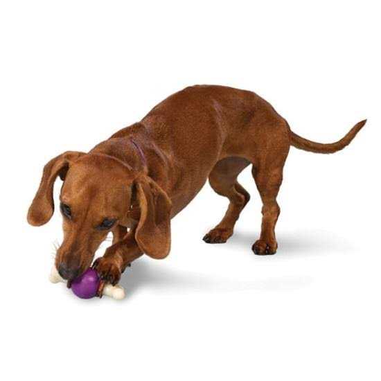 Bouncy Bone Pet Supplies W99005