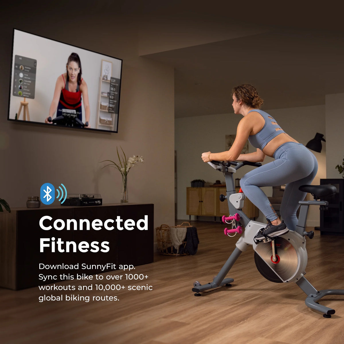 Indoor Cycling Bike X114076