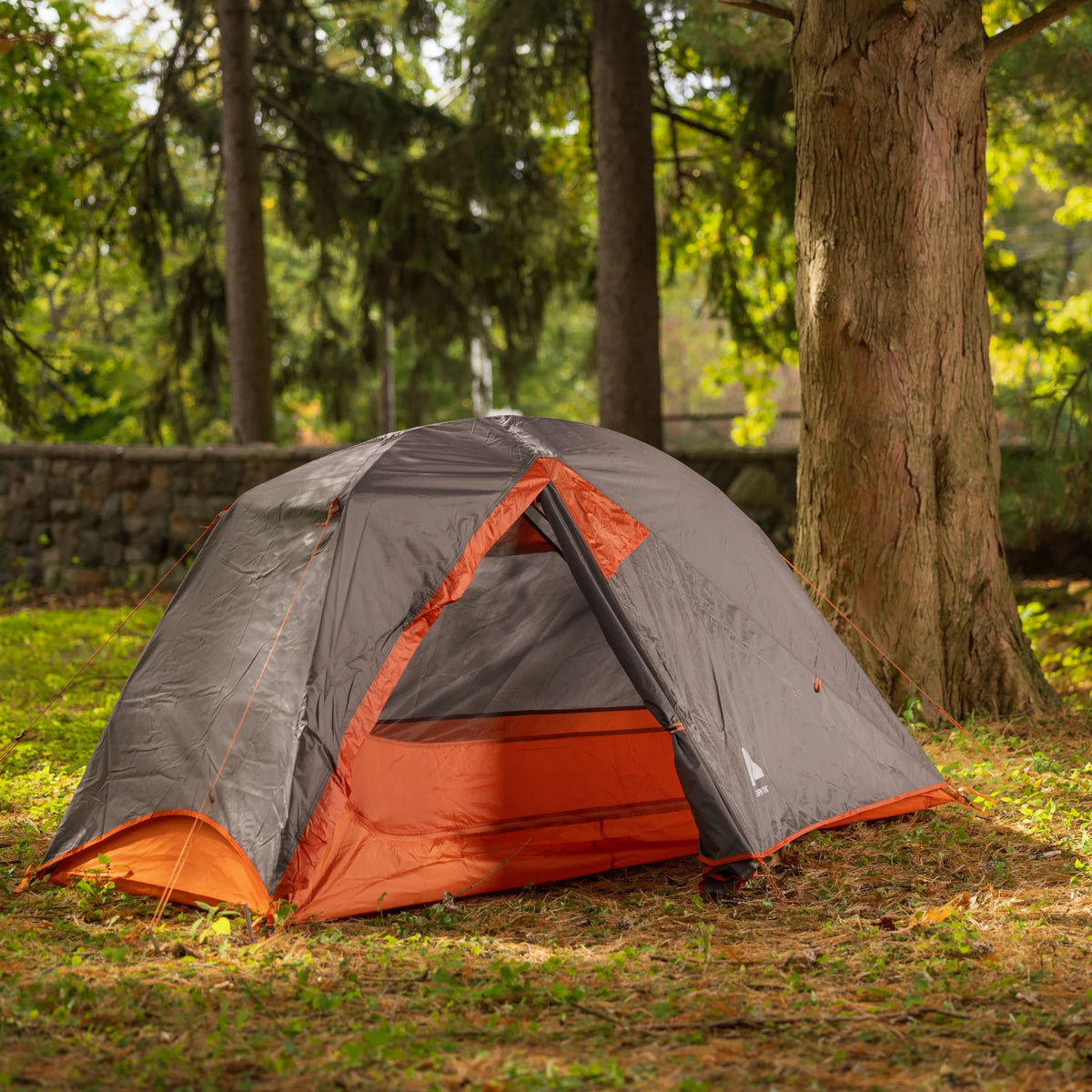 Lightweight 1-Person Backpacking Tent L901
