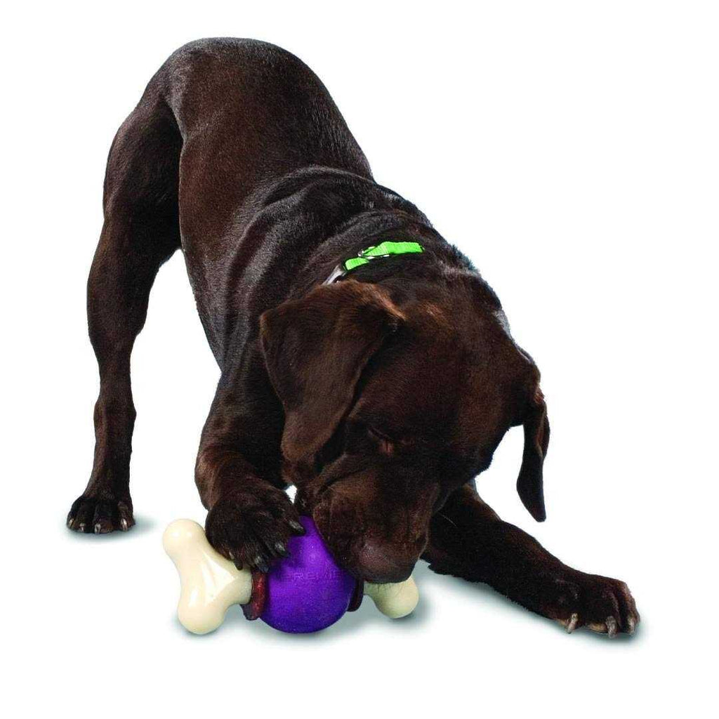 Bouncy Bone Pet Supplies W99005