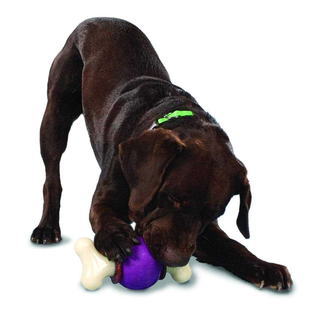 Bouncy Bone Pet Supplies W99005