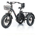 24 Inch Fat Tire 3 Wheel Electric Tricycle G536