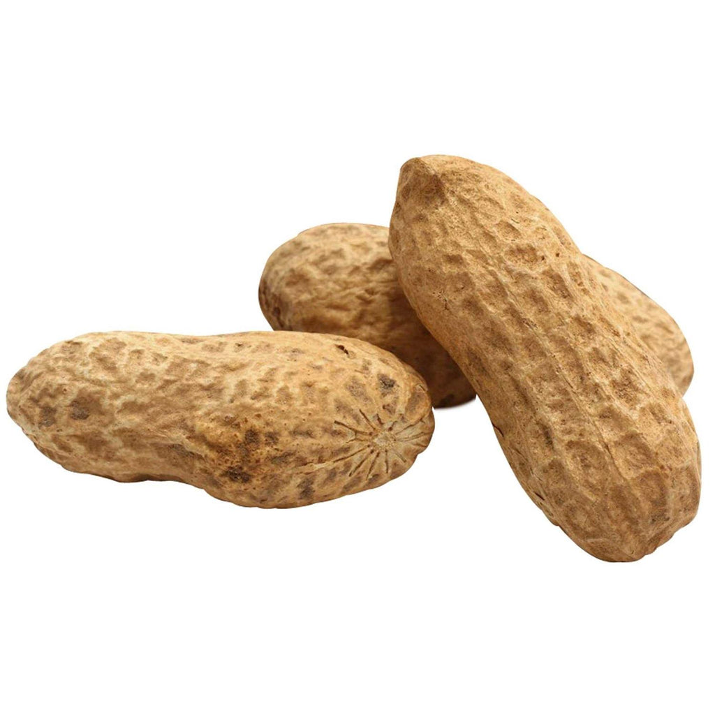 Unsalted In-Shell Whole Peanuts Bird Food O657