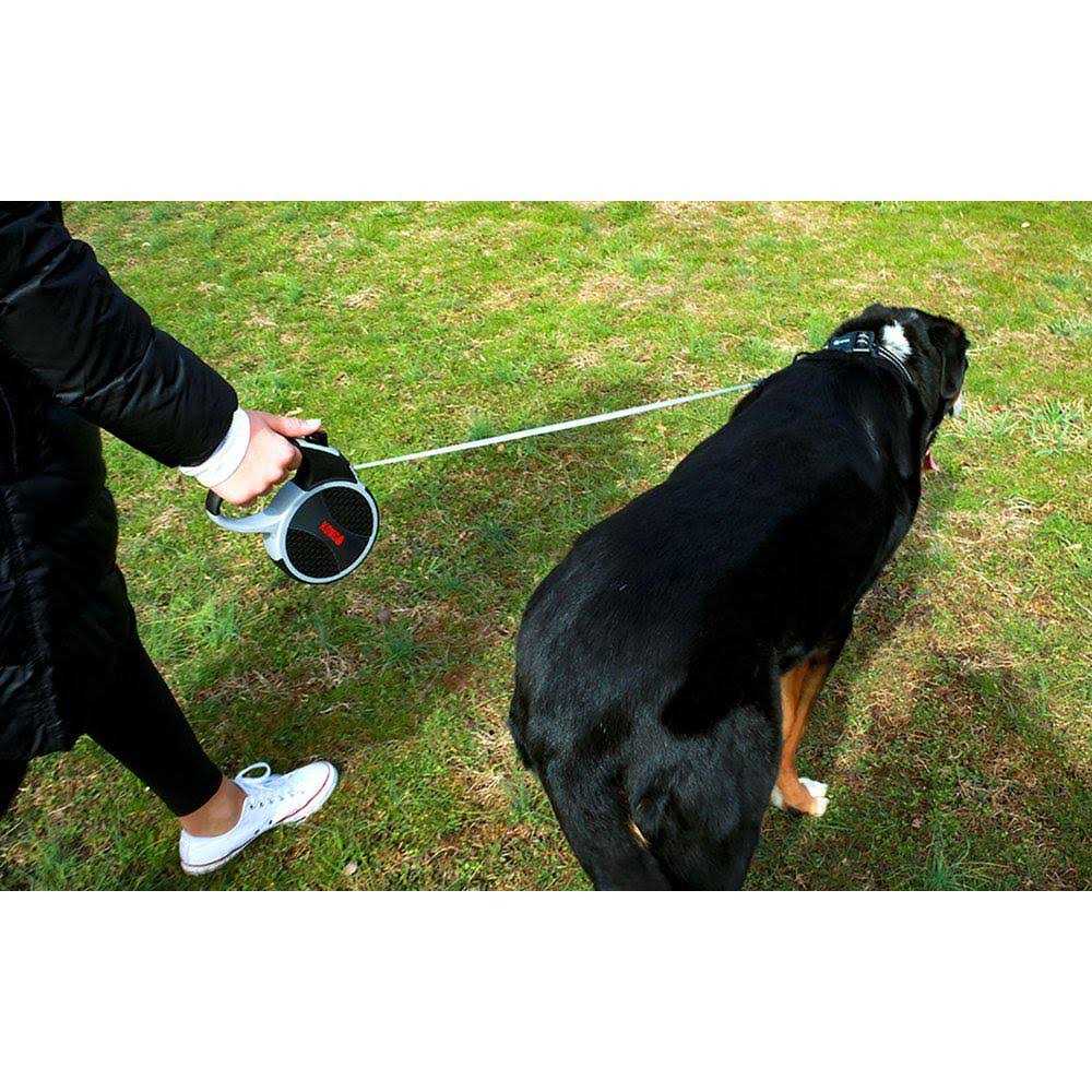 Retractable Dog Leash F974312