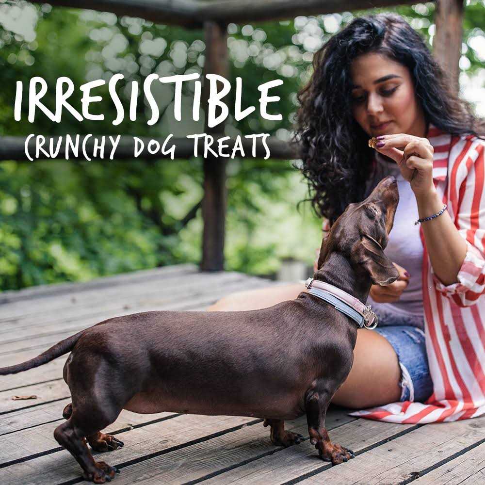 Pumpkin Dog Treats O637126