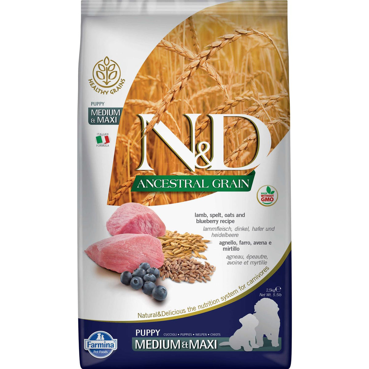 Lamb & Blueberry Dry Dog Food W232