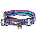 Reflective Dog Collar N24320