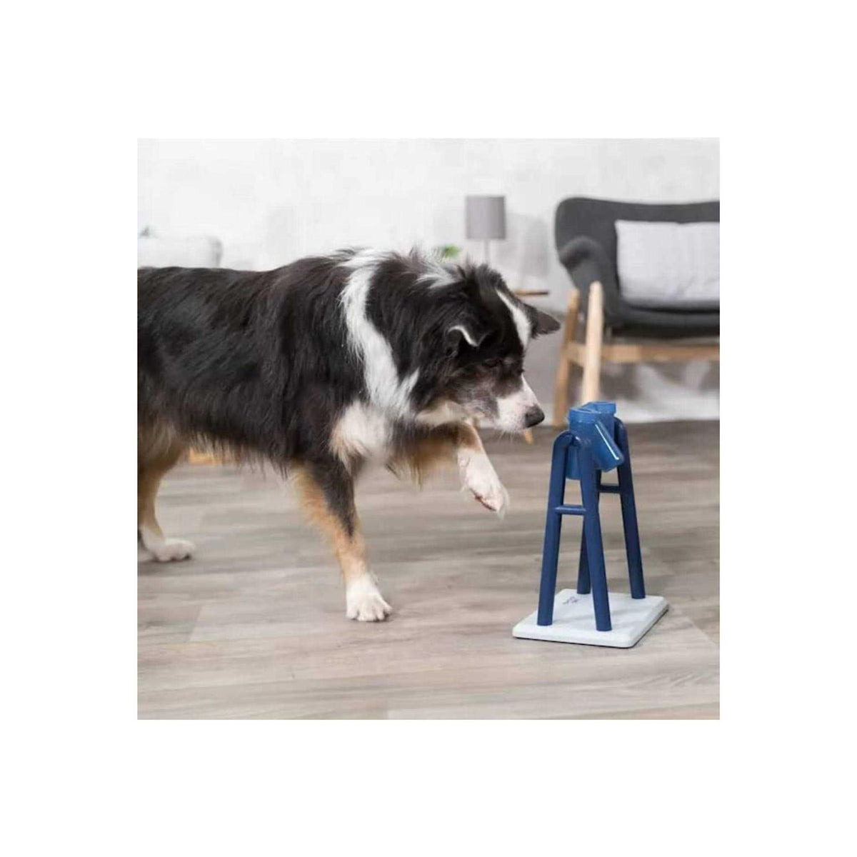 Dog Toy K21573