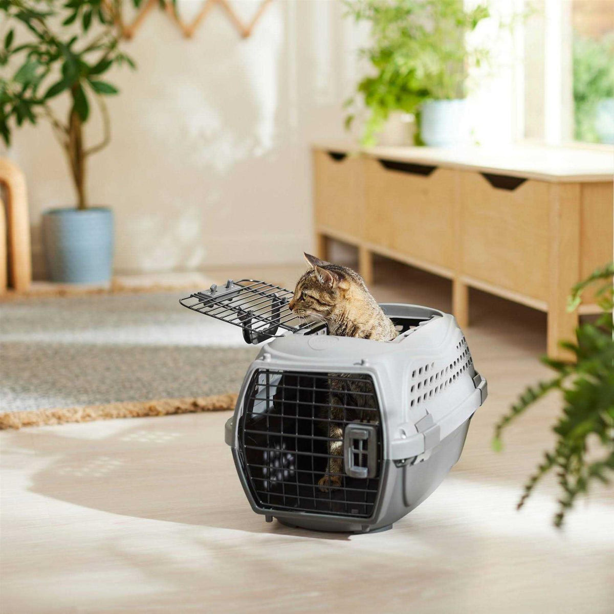 Two Door Plastic Dog & Cat Kennel Z743087