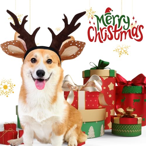 Dog Christmas Reindeer Headband K47004