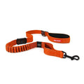 Dog Leash M962231