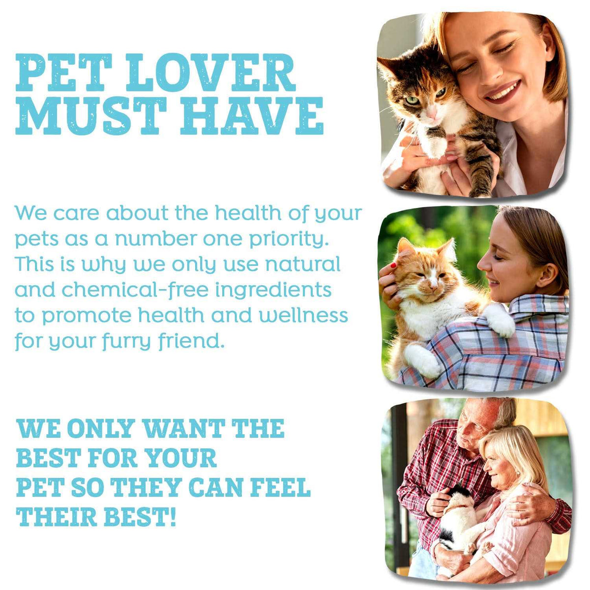 Pet Supplies D4574