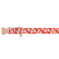 Adjustable Neoprene Dog Collar P8374