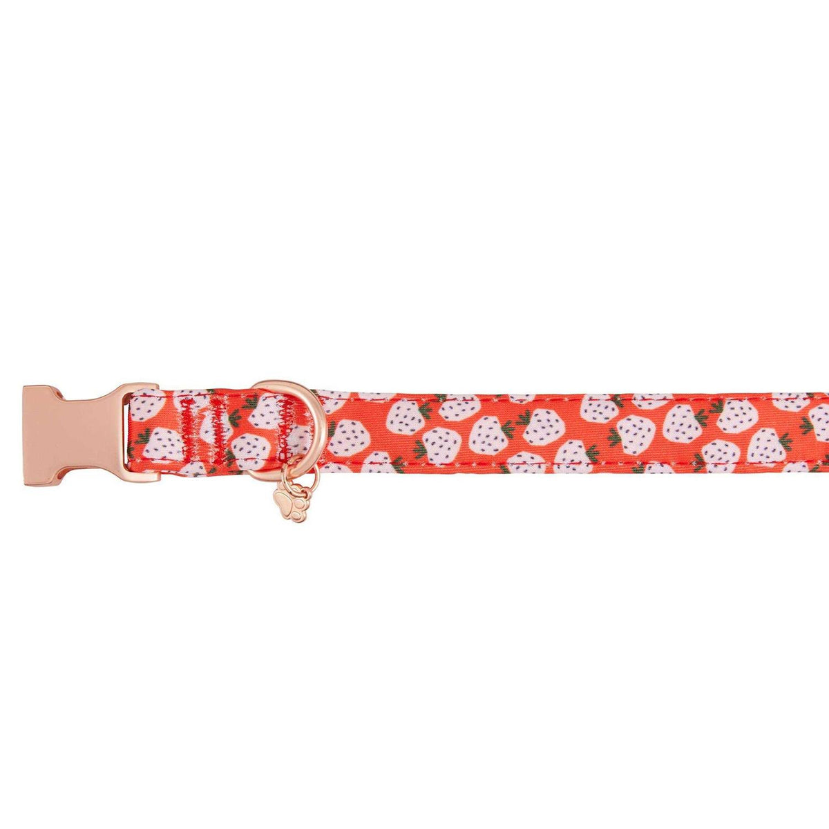 Adjustable Neoprene Dog Collar P8374