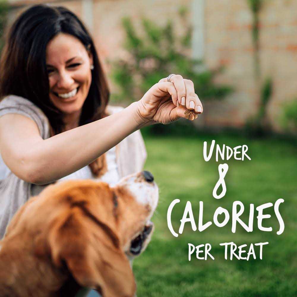Pumpkin Dog Treats O637126