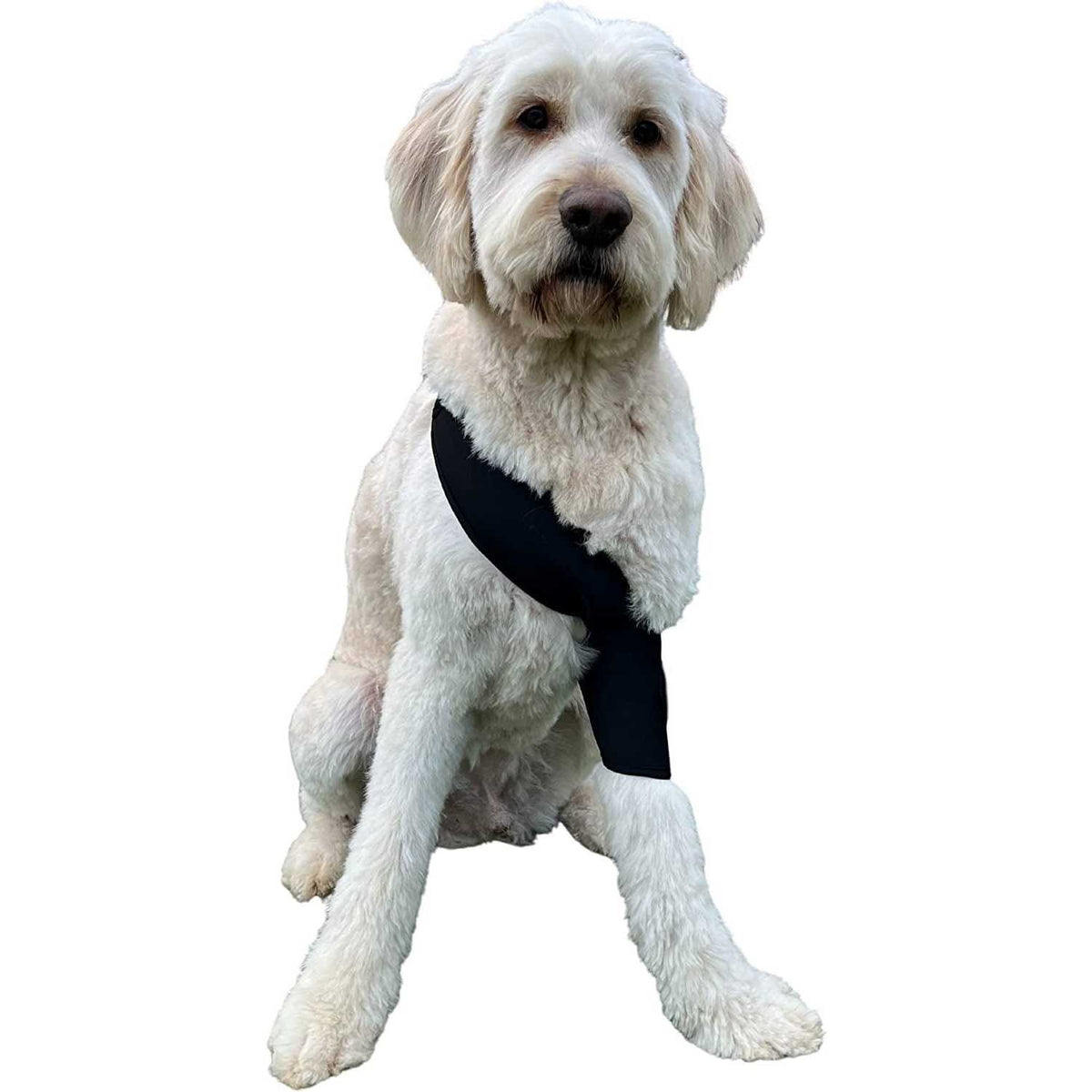 Dog Shoulder Elbow Brace Leg Wrap I5648