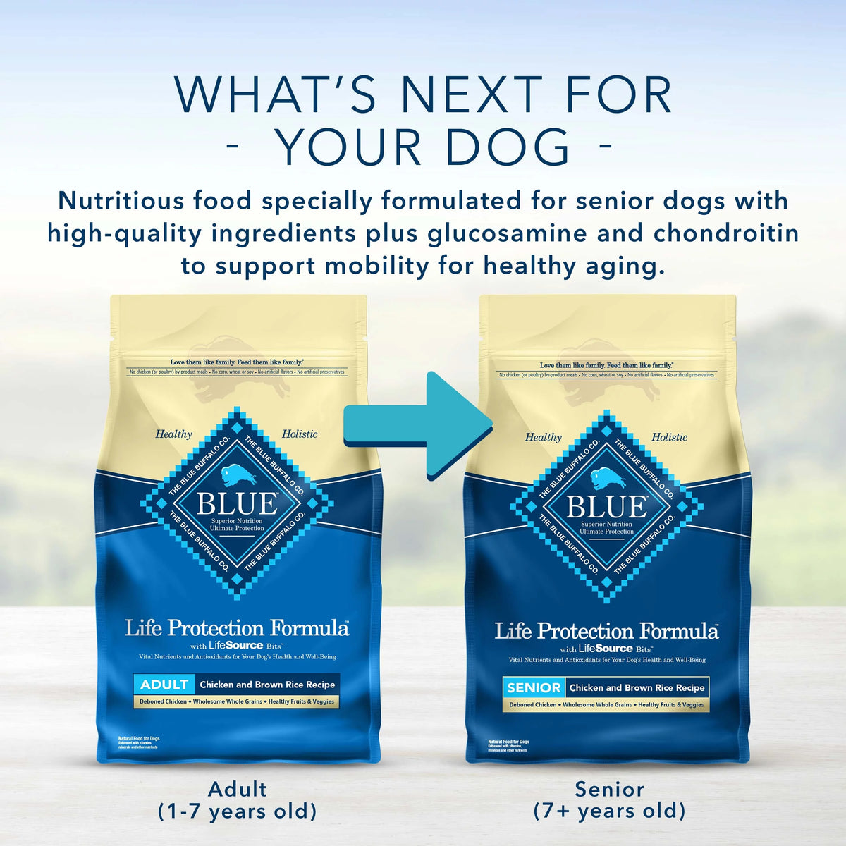 Fish and Brown Rice Dry Dog Food 15 lb. Bag Q600216