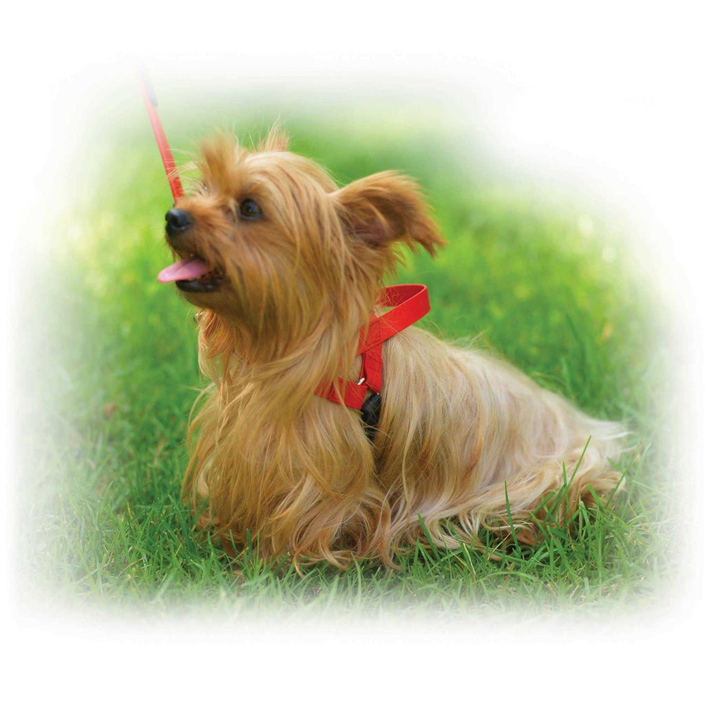 Pet Harness B35152